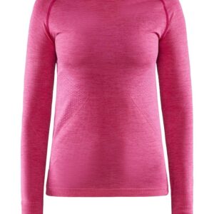 Craft Core Dry Active Comfort Ls Wmn  Fame